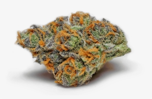 Pennywise Medical Marijuana Strain - Batholith