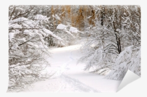 Path In Winter Forest After A Snowfall Wall Mural • - Winter