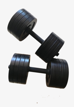 Fake Weights, Buy Fake Weights, Plastic Weights, Prop - Dumbbell