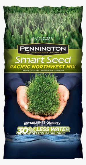 Addthis Sharing Buttons - Pennington 3 Lb. Tall Fescue Shade Grass Seed Pc Mix