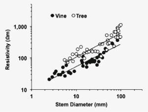 2 Electrical Resistivity Of Woody Vines And Tree Branches - Tree