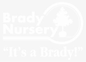 Bradylogo500wide Wtag - Indiana