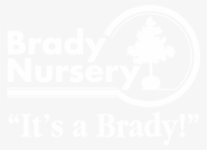 Bradylogo500wide Wtag - Indiana