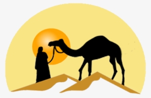morocco explora tours and adventures desert trips pluspng - arabian camel