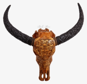 Carved Buffalo Skull // Carved Horns - Horn