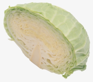 Cabbage Png Image, Download Png Image With Transparent - Cabbage