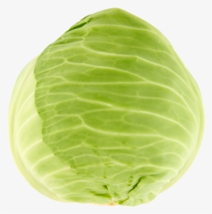 White Cabbage - White Cabbage Png Transparent