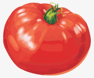 Red Tomatoes - Картинка Нарисованный Помидор