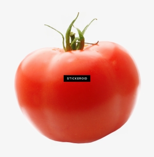 Tomato With Transparent Background