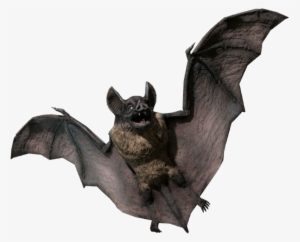 Share This Image - Bat 3d Model