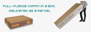 Coffin In A Box - Coffin