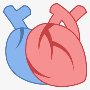 Medical Heart Icon