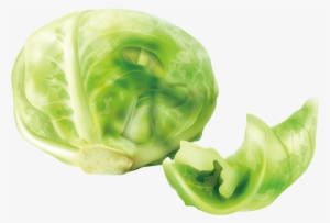 Cabbage Cruciferous Vegetables Lettuce - Cabbage Clipart Kisspng