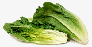 Romaine Lettuce Png Background Image - Cos Or Romaine Lettuce