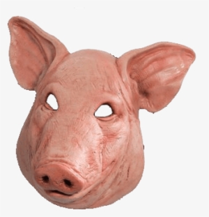 Pig Head Png Png Freeuse Stock - Cabeça De Porco