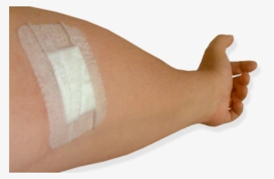 The Dressing Applied To A Donor's Arm After Giving - After Blood Donation