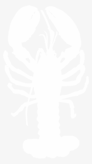 Small - White Lobster Clip Art