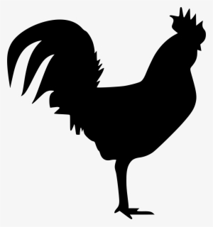 Png File - Rooster