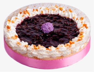 Blueberry Cheesecake - Cheesecake