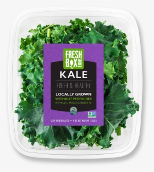 Kale - Curly Kale
