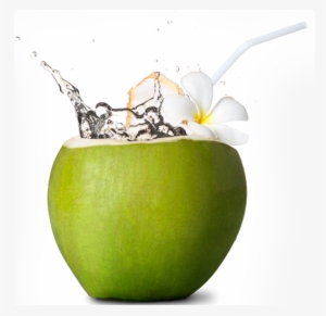 Coco Em Png - Green Coconut Coconut Png