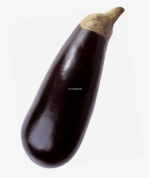 Single Eggplant - Баклажан