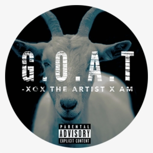 Xox The Artist X Am