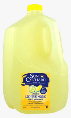 Lemonade, 4 1 Condensed 1gl - Dole Pineapple Juice