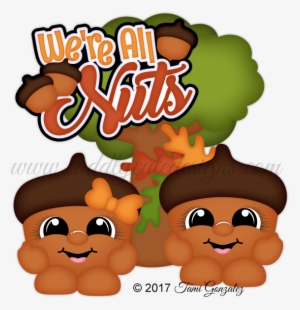 Acorn Cuties