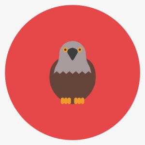 This Icon Represents A Falcon - Wild Boar