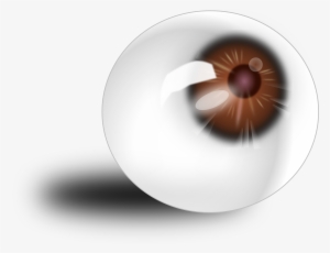 This Free Icons Png Design Of Eyeball Brown - Brown Eye Anatomy