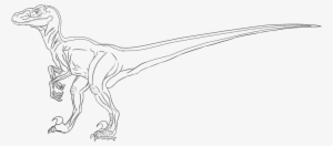 Velociraptor Lineart By Scourgelover14 - Drawing