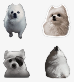 Gabe The Dog Png Download Transparent Gabe The Dog Png Images For Free Nicepng