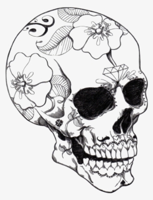 1m4g1n4t10n Skull &lt - Realistic Sugar Skull Drawing