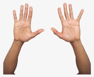 Hand Palm Up Png - Two Hands Up Png