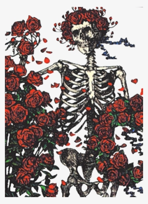 Skull And Roses - Grateful Dead Bertha Skeleton