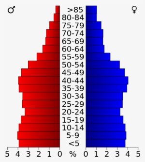 Demographics - Age Pyramid Usa