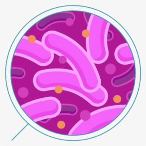 Bacteria Transparent Background - Bacteria Png