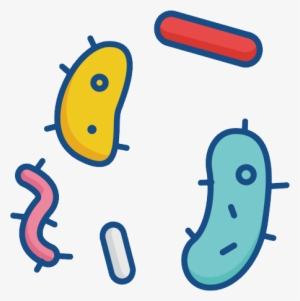 Transparent Bacteria Clip Art