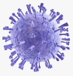 Bacteria Png Image