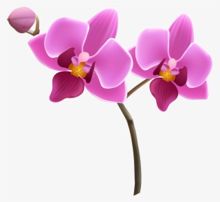 Purple Orchid Png Clipart Image - Orchid Clipart