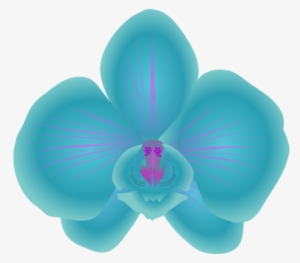 Blue Orchid Clipart - Blue Orchids Vector Png