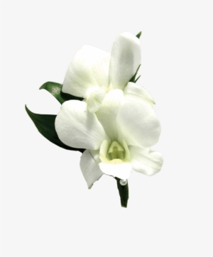 White Dendrobium Orchid Boutonniere • - Artificial Flower