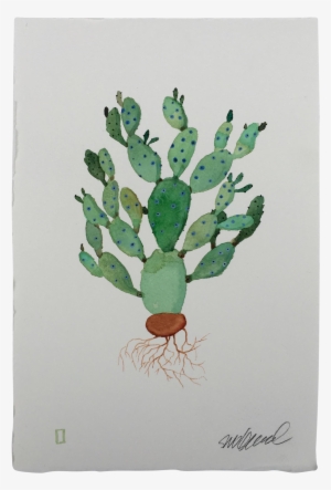 Cactus Watercolor Png - Barbary Fig