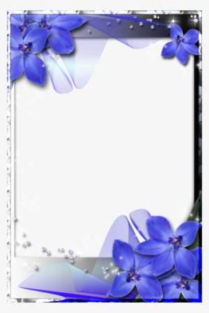 Beautiful Transparent Frame With Blue Orchids - Beautiful Borders And Frames