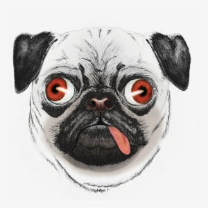 Pug Face On Behance - Drawing