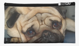 Pug Face Bag - Zazzle Euro Pug Face Cosmetic Bag