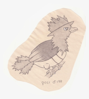 Clip Art Library Library Birb Drawing Tiny Bird
