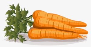 The Antioxidants Found In Carrots Include Vitamin C, - Carrot