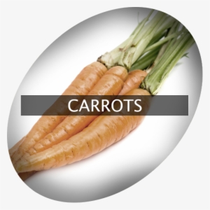 Landingimage Igrow Carrots - Carrot